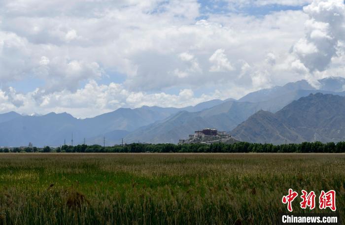圖為拉薩拉魯濕地。　李林 攝