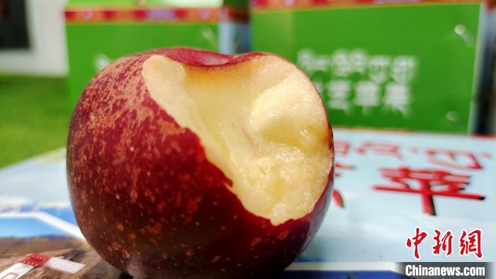 圖為通麥村特色甜心蘋果?！∝暽＠?攝