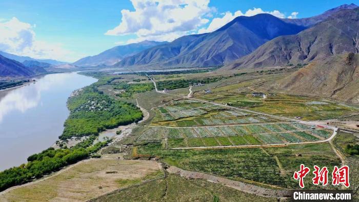 圖為桑日縣葡萄種植基地。　山南桑日縣委宣傳部提供