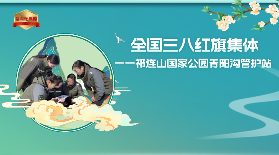 雨水24節(jié)氣圖文風(fēng)橫版海報__2025-04-16+16_49_42.jpg