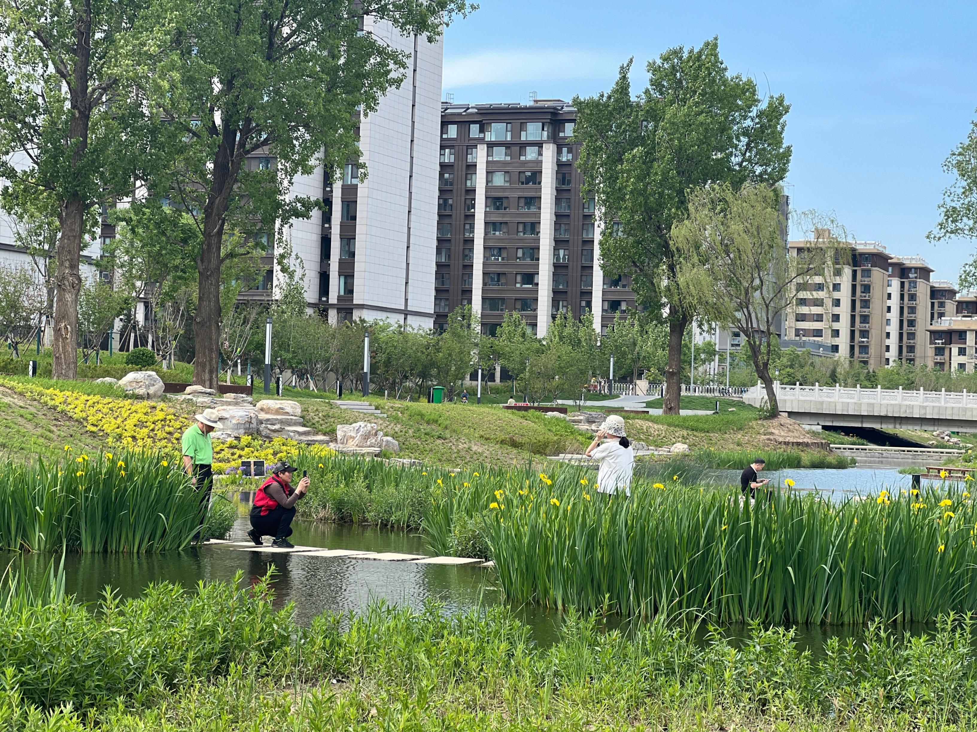 五一渠生態(tài)濱河公園內(nèi)，市民正在拍照留念。人民網(wǎng) 歐陽易佳攝