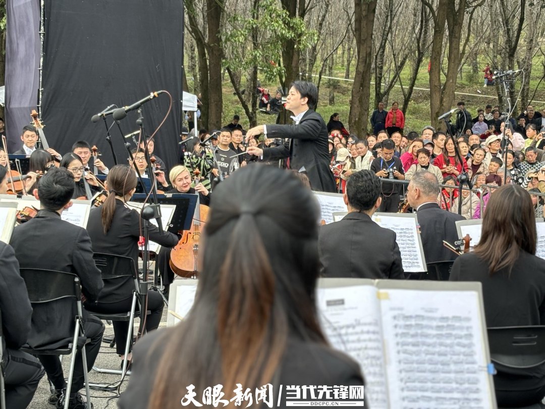 貴陽路邊音樂會·貴安櫻花園專場交響樂現(xiàn)場。丁亞 文丹 攝