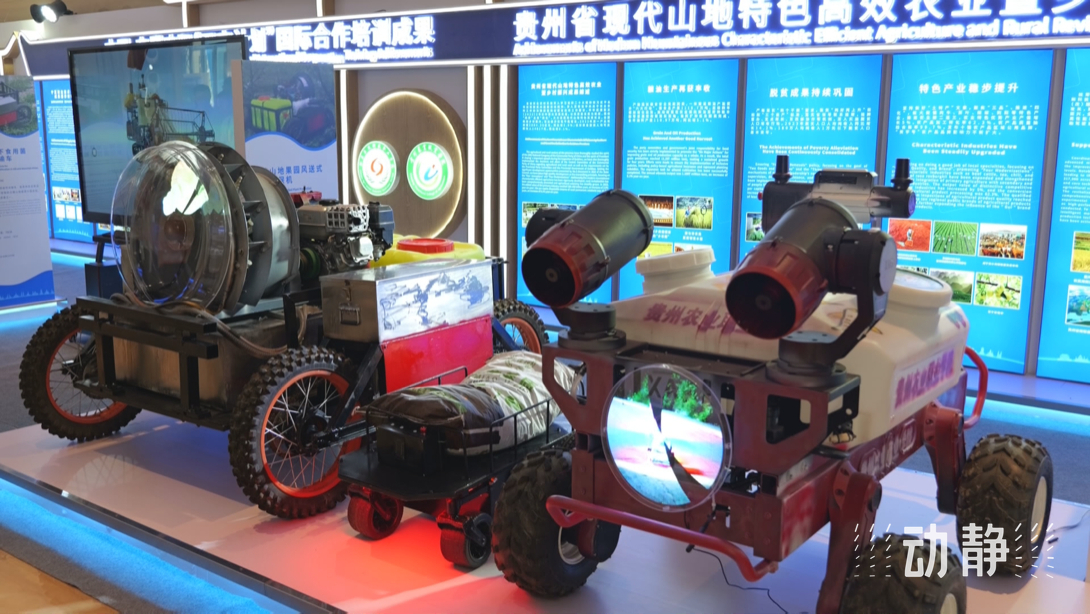 展示成果分享經(jīng)驗(yàn)，中國—東盟教育交流周深化合作共創(chuàng)未來！