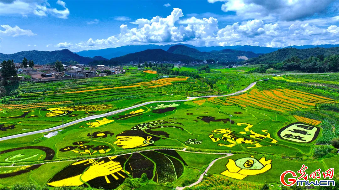 云南清水：延伸公共法律服務(wù)觸角，讓普法與民族團(tuán)結(jié)進(jìn)步互促共融