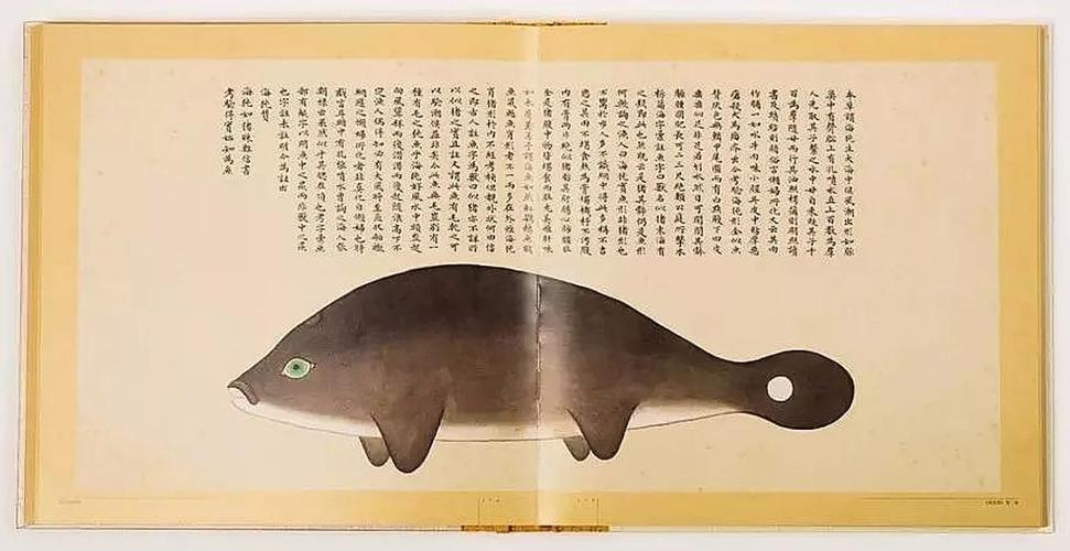 文化中國行 長江之歌丨微笑的江豚，從四千年前“游”來