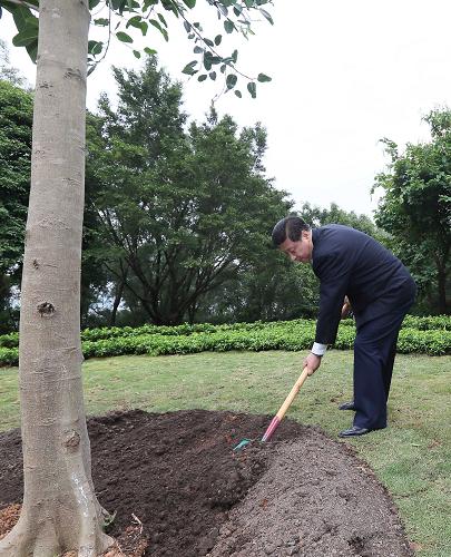 2012年12月7日至11日，習(xí)近平在廣東省考察工作。這是8日上午，習(xí)近平在深圳蓮花山公園種下一棵高山榕樹。新華社記者 蘭紅光 攝