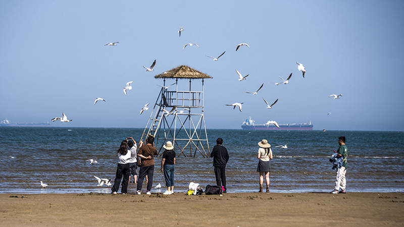 2024年5月12日，河北秦皇島，北戴河鴿子窩公園成群海鷗在天空中自由翱翔，與大海、藍(lán)天構(gòu)成了一幅美麗的畫(huà)卷。