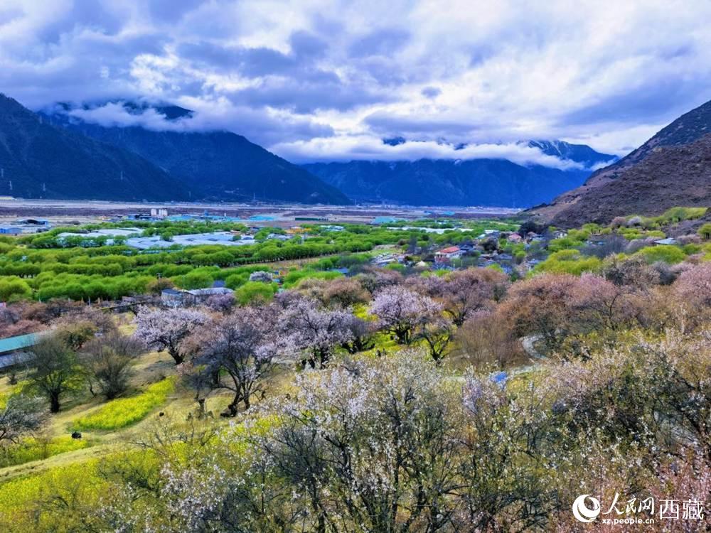 桃花從中的“童話小鎮(zhèn)”。人民網(wǎng) 李海霞攝