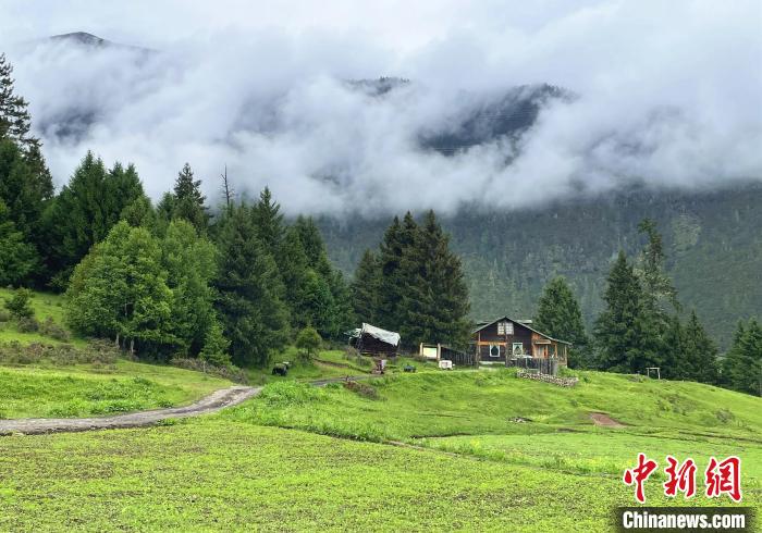 6月10日，魯朗小鎮(zhèn)高山牧場(chǎng)景區(qū)風(fēng)光?！∪轿木?攝