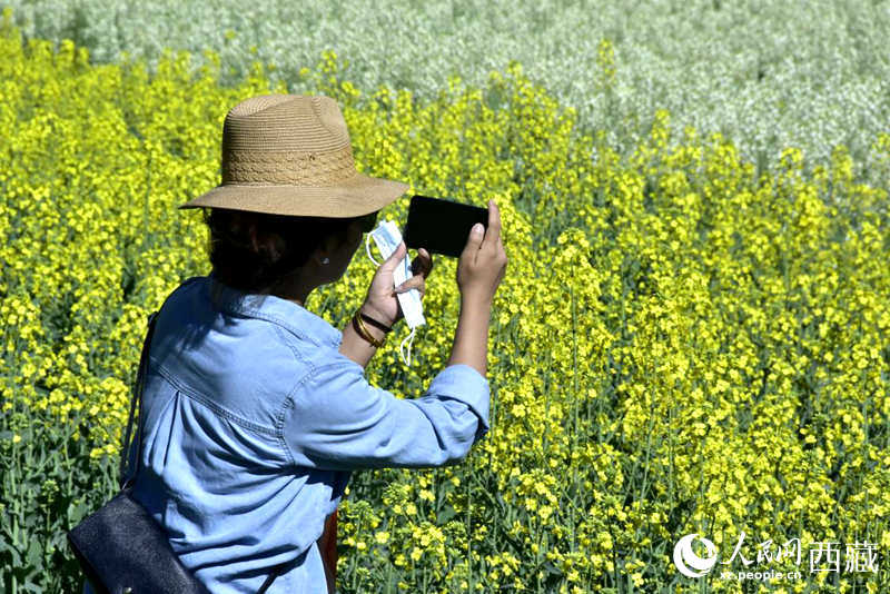 大片油菜花吸引游客到來(lái)。人民網(wǎng) 李海霞攝