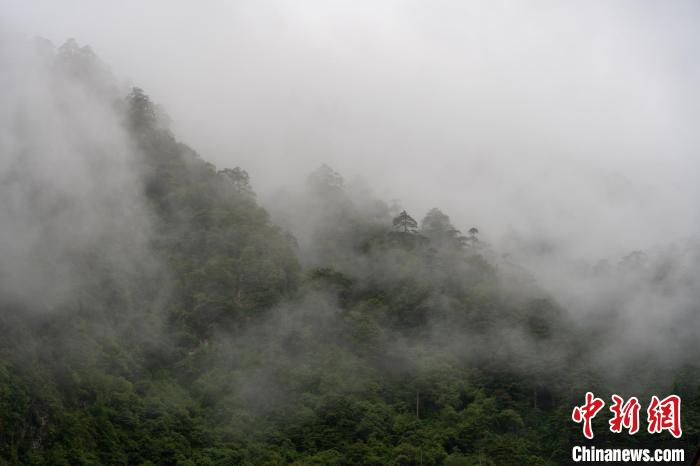 雨后勒布溝的云霧?！〗w波 攝