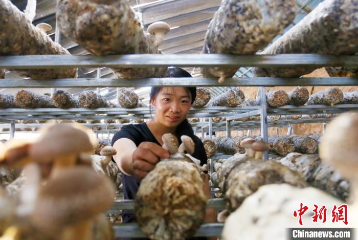 甘肅天?！跋愎椒蚱蕖毕律饺氪ǎ捍笈锢镉板X景”