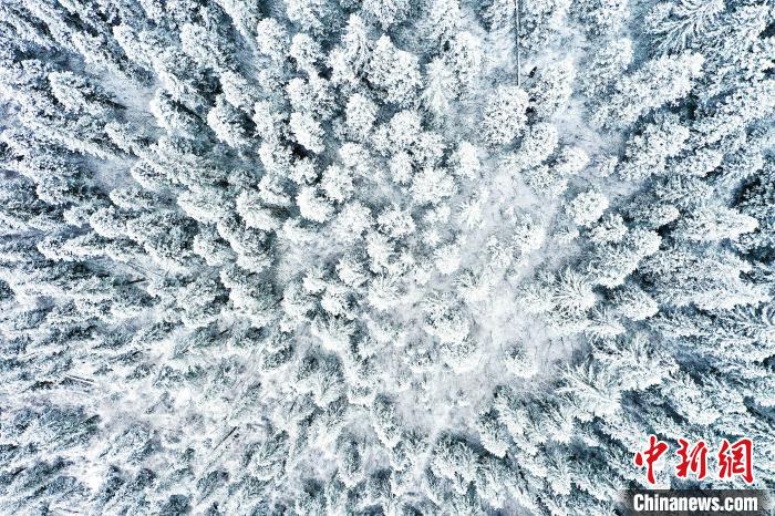 壤塘的雪后美景?！∪捞量h融媒體中心供圖