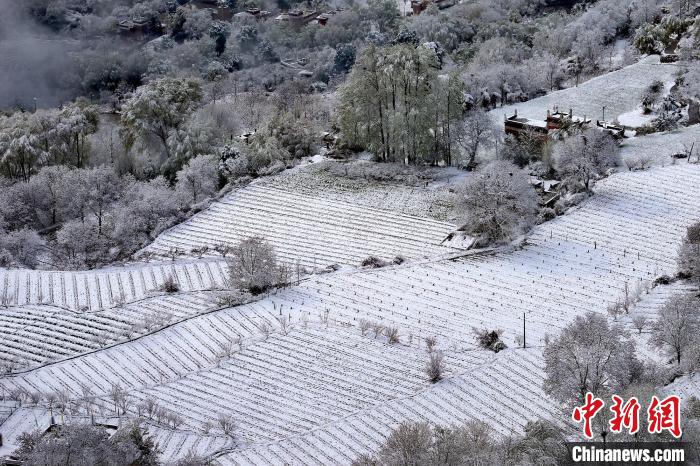 雪后的高山田間如畫。　李永安 攝