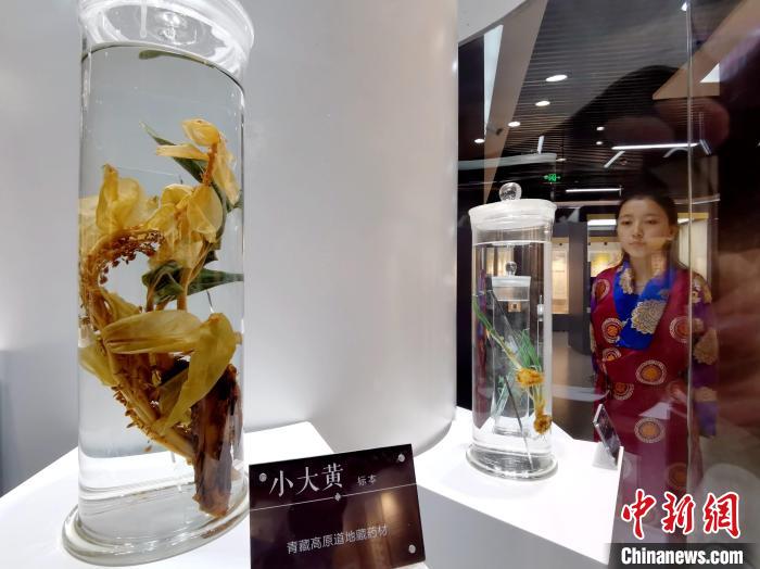 青海中藏醫(yī)藥發(fā)展提速：建設(shè)一批重點(diǎn)專科學(xué)科，推廣一批適宜技術(shù)