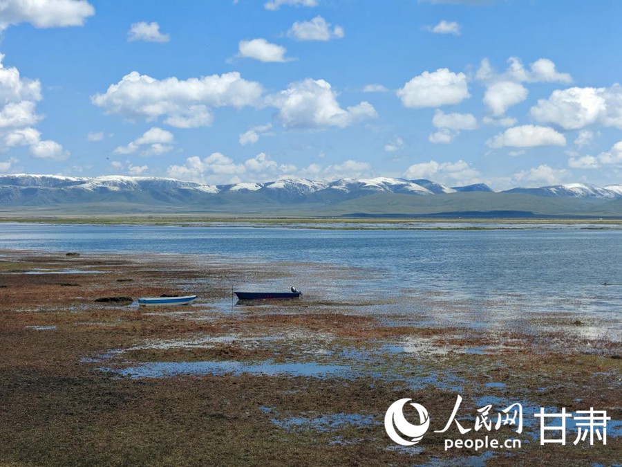夏日的尕海湖風(fēng)情萬種。人民日報(bào)記者 銀燕攝