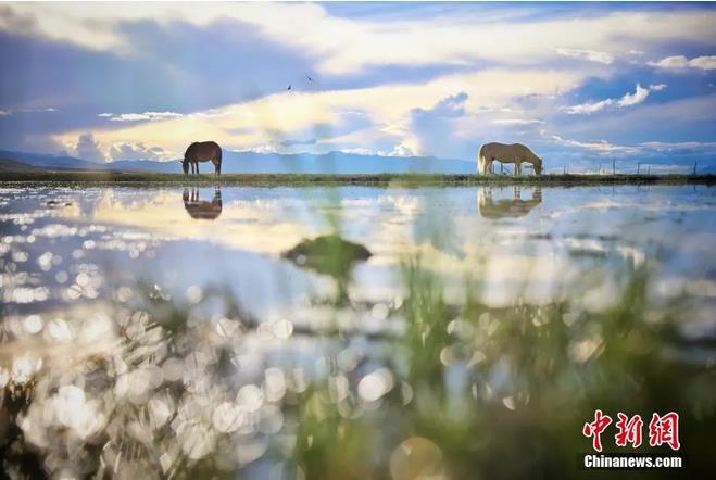 資料圖：那曲市申扎縣境內(nèi)的濕地。李雪峰 攝