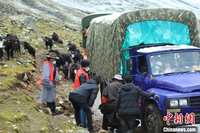 圖為牧民們查看車輛準備出發(fā)?！÷蹇?攝