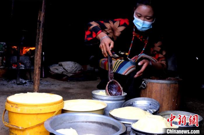 圖為牧民正在制作酥油?！∪湛t文聯(lián)供圖