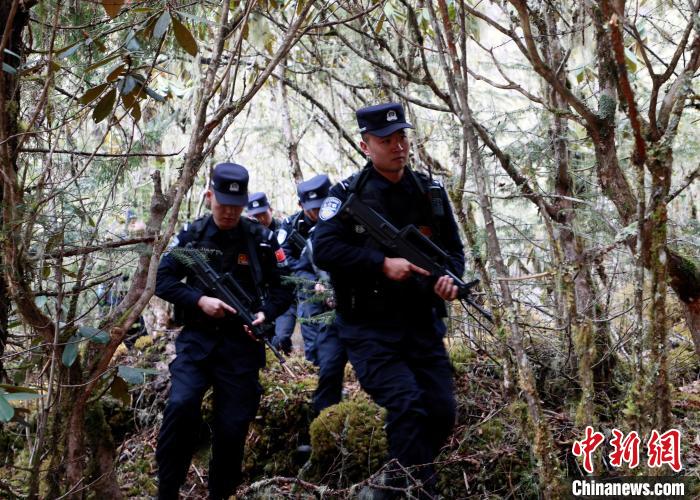山南邊境管理支隊玉麥邊境派出所民警在邊境原始森林里開展邊境巡邏。　鄭琦山 攝