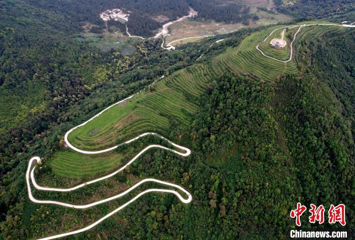 圖為西藏林芝市墨脫縣背崩鄉(xiāng)格林村山頂?shù)木坝^茶園。(無人機(jī)照片) 李林 攝