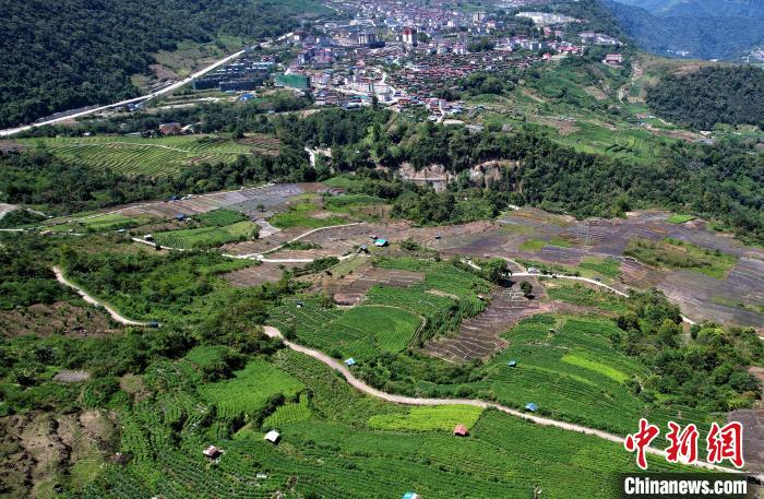 圖為西藏林芝市墨脫縣城附近的茶田。(無人機(jī)照片) 李林 攝
