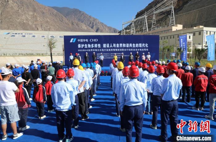 圖為蘇洼龍水電站魚類放流現(xiàn)場?！√K洼龍水電站供圖