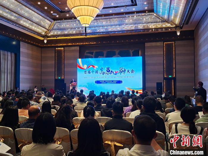 圖為首屆中國(guó)高原心胸大會(huì)現(xiàn)場(chǎng)?！☆D旦旺姆 攝