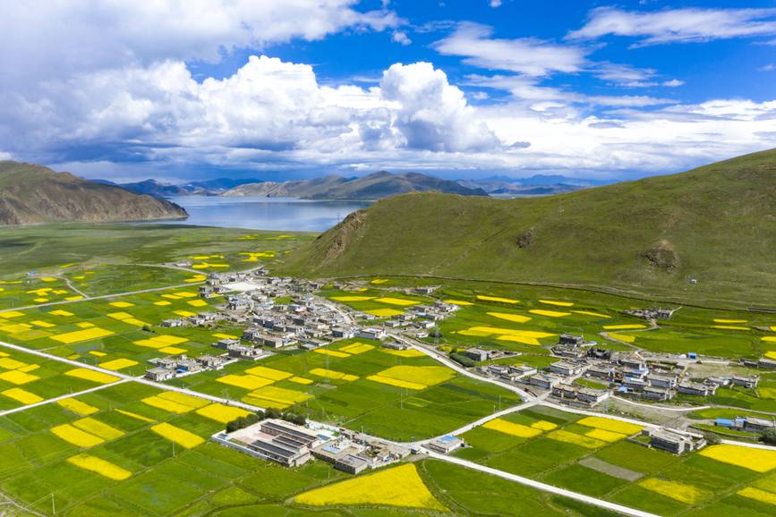 航拍道布龍村，依山傍水，阡陌縱橫。