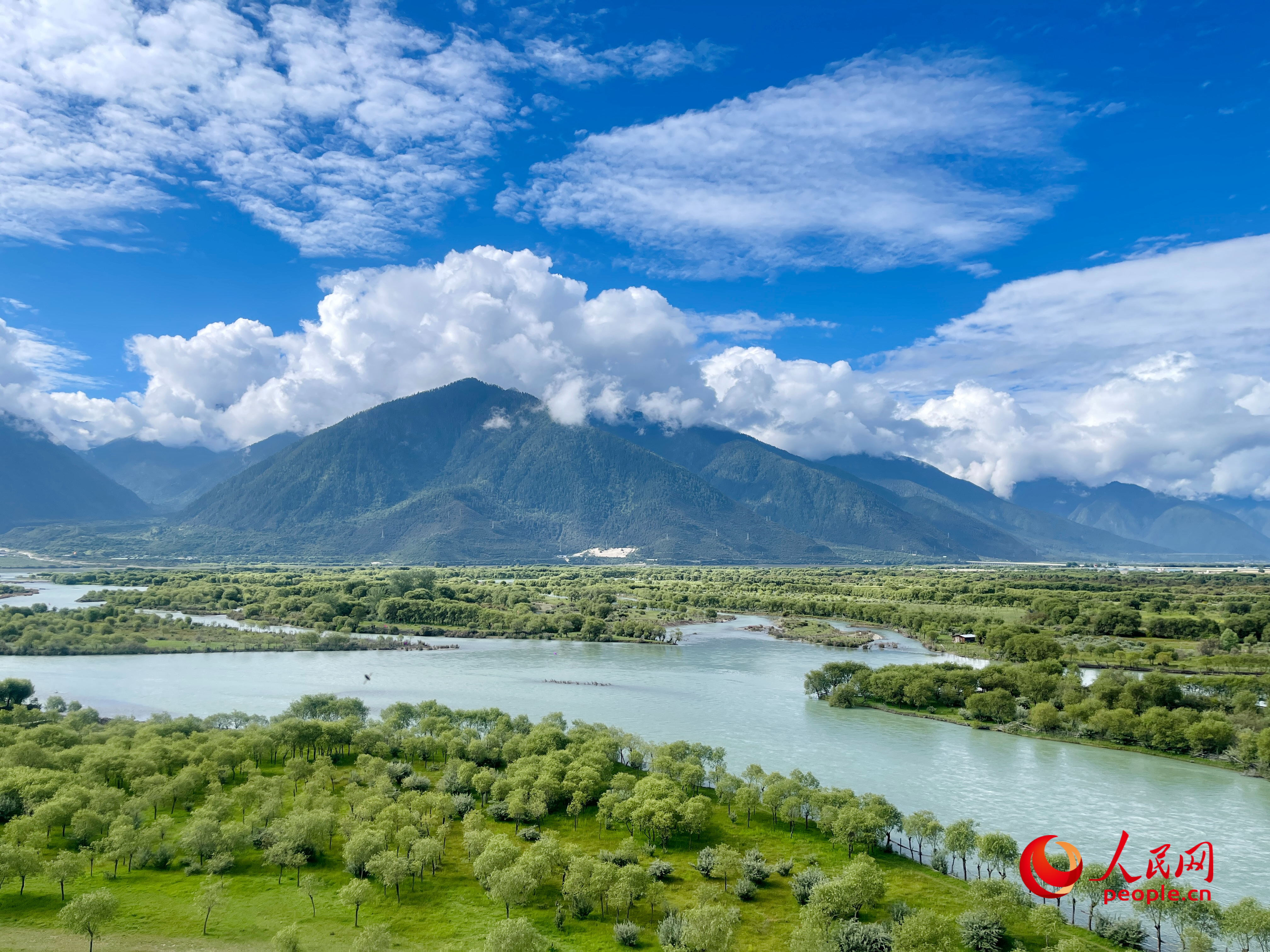 夏日的雅尼國(guó)家濕地公園生機(jī)盎然，如詩(shī)如畫。人民網(wǎng) 周靜圓攝