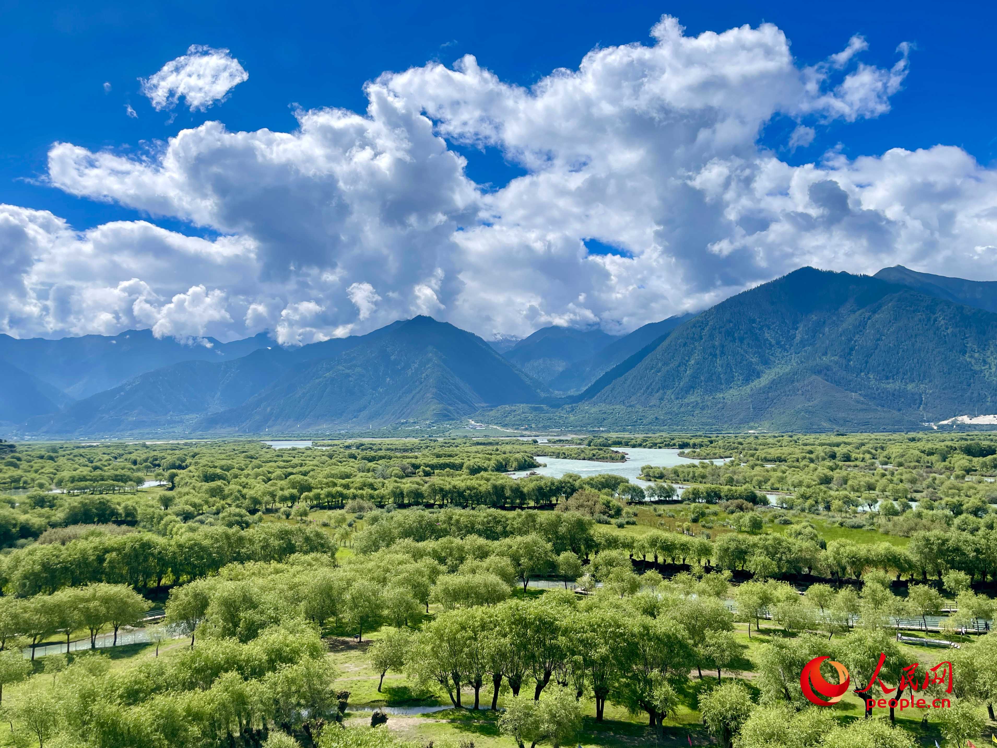 夏日的雅尼國(guó)家濕地公園生機(jī)盎然，如詩(shī)如畫。人民網(wǎng) 周靜圓攝