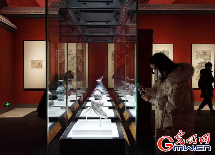 【新春走基層】視頻丨虎年看虎展！來國博感受虎文化